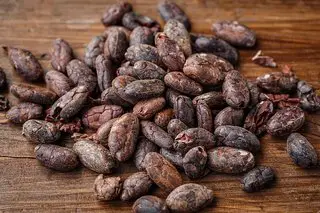 bienfaits de la fève de cacao