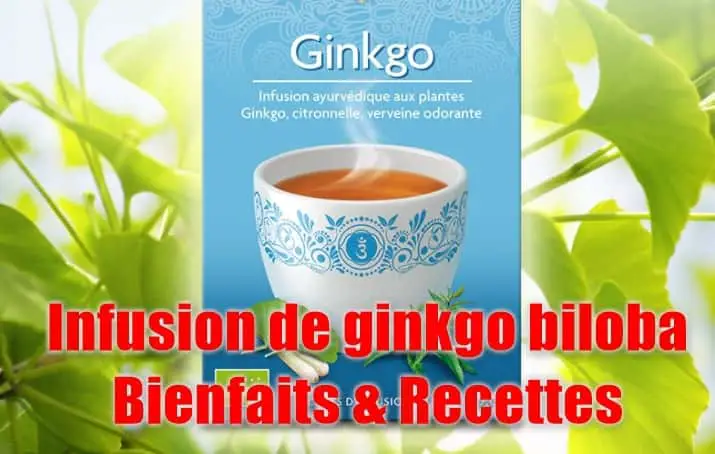 Infusion de ginkgo biloba: bienfaits et recettes 1