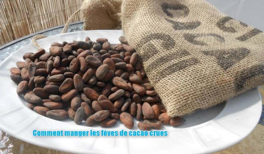 comment manger les fèves de cacao crues