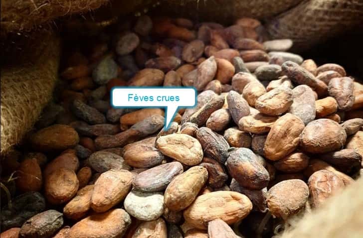 comment manger les fèves de cacao crues 2