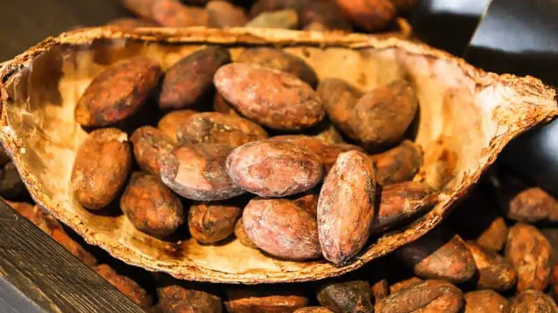 Comment nettoyer et torréfier les fèves de cacao crues 1