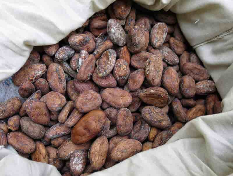 Comment nettoyer et torréfier les fèves de cacao crues 2