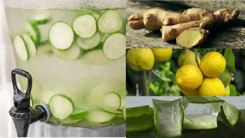 boisson concombre, citron, gingembre, persil et aloe vera 