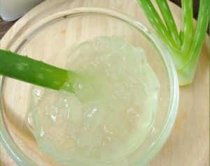 Recettes d’aloe vera pour maigrir et perdre du poids