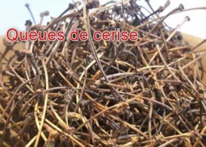les bienfaits de la tisane queue de cerise