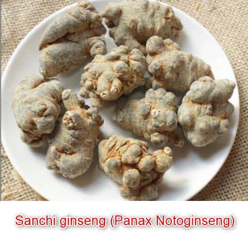 Sanchi ginseng (Panax Notoginseng) 