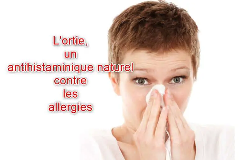L’ortie un antihistaminique naturel contre les allergies