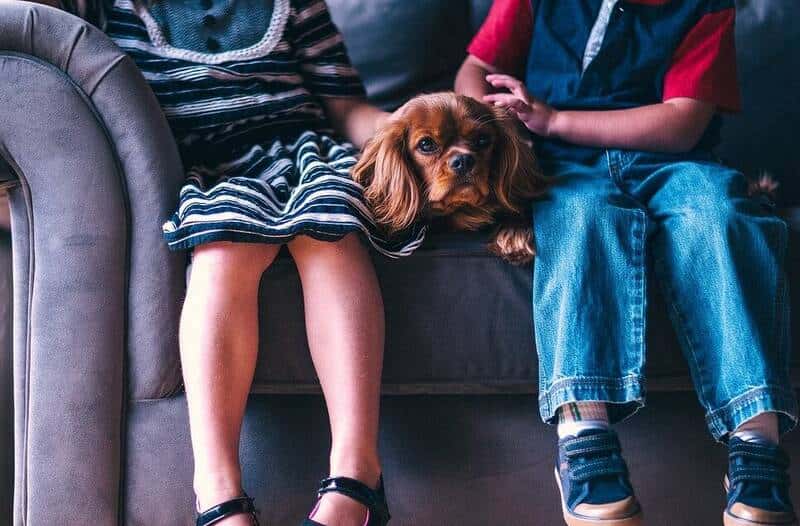 un chien entre deux enfants sur un canapé