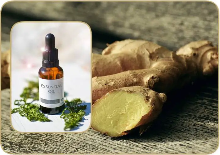 huile essentielle de gingembre sur la peau et le corps