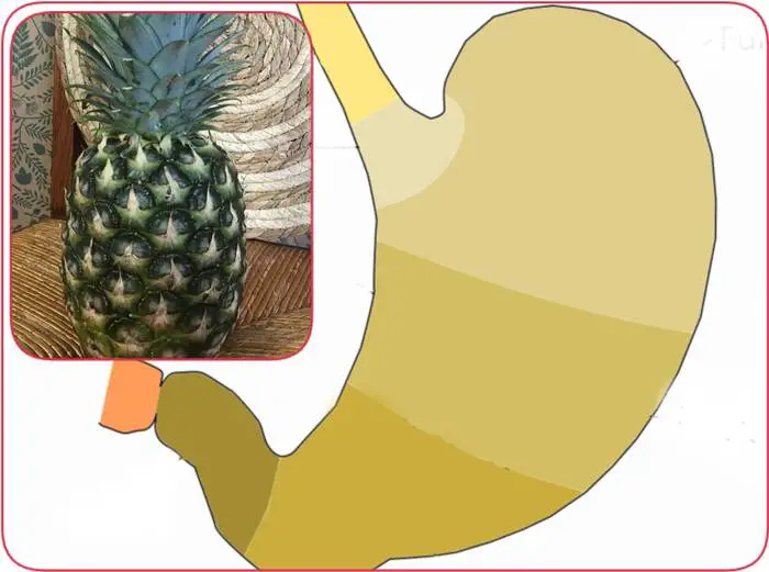 Comment utiliser l'ananas pour les brûlures d'estomac et le reflux gastrique