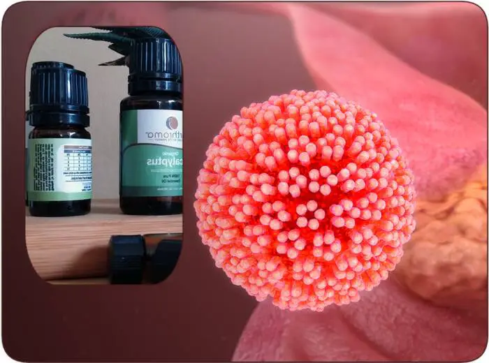 papillomavirus humain et huile essentielle negi genitale pe buzele mici