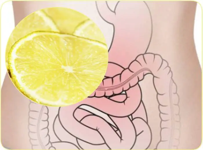 Nettoyer les intestins avec du citron