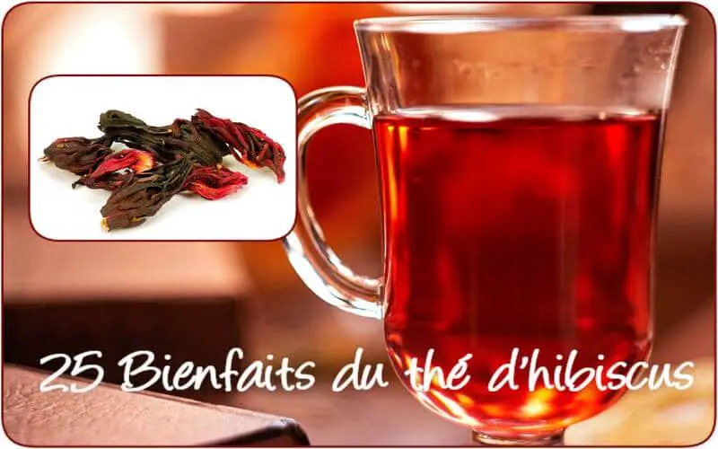 25 bienfaits du thé d'hibiscus pour la santé