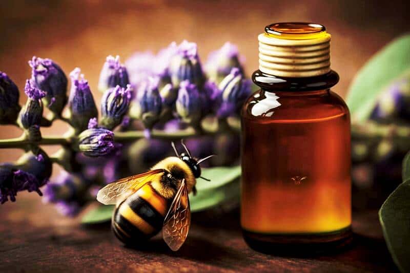 huiles essentielles pour soulager les piqûres d'abeilles